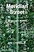 Meridian Street: An Illustr...