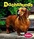 Dachshunds (Dogs Library)