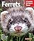 Ferrets (Complete Pet Owner's Manual)