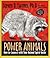 Power Animals: How To Connect With Your Animal Spirit Guide