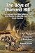 Boys of Diamond Hill: The Lives and Civil War Letters of the Boyd Family of Abbeville County, South Carolina