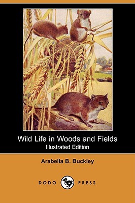 Wild Life in Woods and Fields (Paperback)