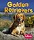 Golden Retrievers (Dogs Library)