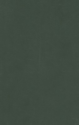Group Supervision: A Guide to Creative Practice (Counselling Supervision series)