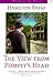 The View from Pompey's Head: A Novel (Voices of the South)