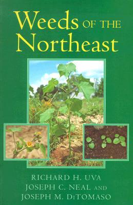 Weeds of the Northeast (Paperback)