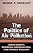 The Politics of Air Pollution: Urban Growth, Ecological Modernization, and Symbolic Inclusion (Global Environmental Policy)