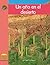 Un Año en el Desierto / A Year in the Desert (Yellow Umbrella Books: Science ~ Spanish)