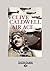Clive Caldwell, Air Ace