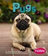 Pugs by Jody Sullivan Rake
