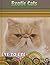 Exotic Cats (Eye to Eye With Cats)