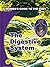The Digestive System by Ben Morrison