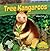 Tree Kangaroos (Up a Tree)