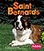 Saint Bernards (Dogs Library)