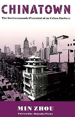 Chinatown: The Socioeconomic Potential of an Urban Enclave (Conflicts In Urban & Regional)