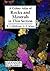 A Color Atlas of Rocks and ...