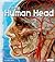 The Human Head