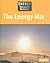 The Energy Mix (Energy Now and in the Future)