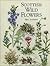 Scottish Wild Flowers