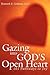 Gazing into God's Open Heart: 101 Pathways to Joy
