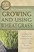 The Complete Guide to Growing and Using Wheatgrass Everything You Need to Know Explained Simply (Back-To-Basics)