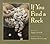 If You Find a Rock by Peggy Christian