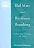 Hail Mary and Rhythmic Breathing: A New Way of Praying the Rosary