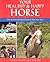 Your Healthy & Happy Horse: How to Care for Your Horse & Have Fun Too!