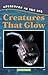 Creatures That Glow (Creatures of the Sea)