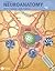 A Textbook of Neuroanatomy