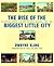 The Rise of the Biggest Little City by Dwayne Kling