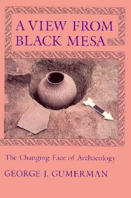 A View From Black Mesa: The Changing Face of Archaeology (Paperback)