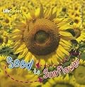 Seed to Sunflower