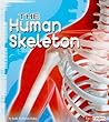 The Human Skeleton (Fact Finders, Anatomy Class)