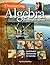 Discovering Algebra by Jerald Murdock