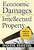 Economic Damages in Intellectual Property: A Hands-On Guide to Litigation