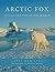 Arctic Fox: Life at the Top...