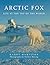Arctic Fox: Life at the Top of the World