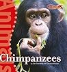 Chimpanzees (Benchmark Rockets) Chimpanzees (Benchmark Rockets)