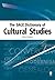 The SAGE Dictionary of Cultural Studies by Chris Barker
