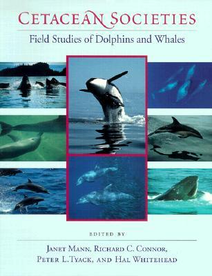 Cetacean Societies: Field Studies of Dolphins and Whales (Paperback)