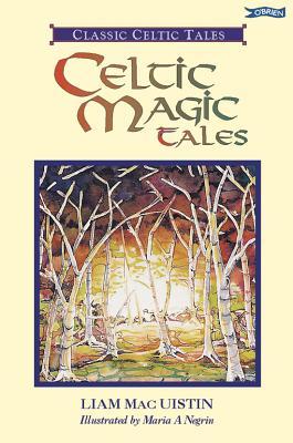Celtic Magic Tales (Paperback)
