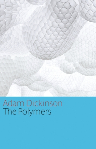 The Polymers (Paperback)