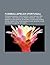 Fußballspieler (Portugal): Cristiano Ronaldo, Eusébio, Daniel Da Cruz Carvalho, Mário Coluna, Manuel Fernandes, Luís Figo, José Águas (German Edition)