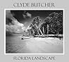 Clyde Butcher Florida Landscape by Clyde Butcher
