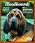Bloodhounds