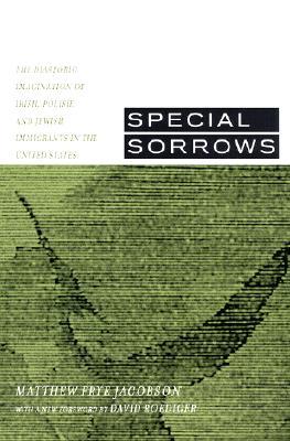 Special Sorrows: The Diasporic Imagination of Irish, Polish, and Jewish Immigrants in the United States (Paperback)