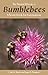 The Natural History of Bumblebees: A Sourcebook for Investigations