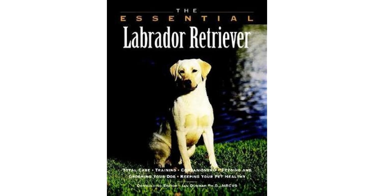 labrador essentials
