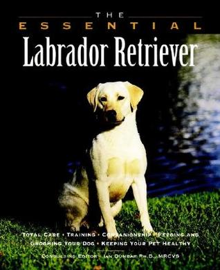 labrador essentials